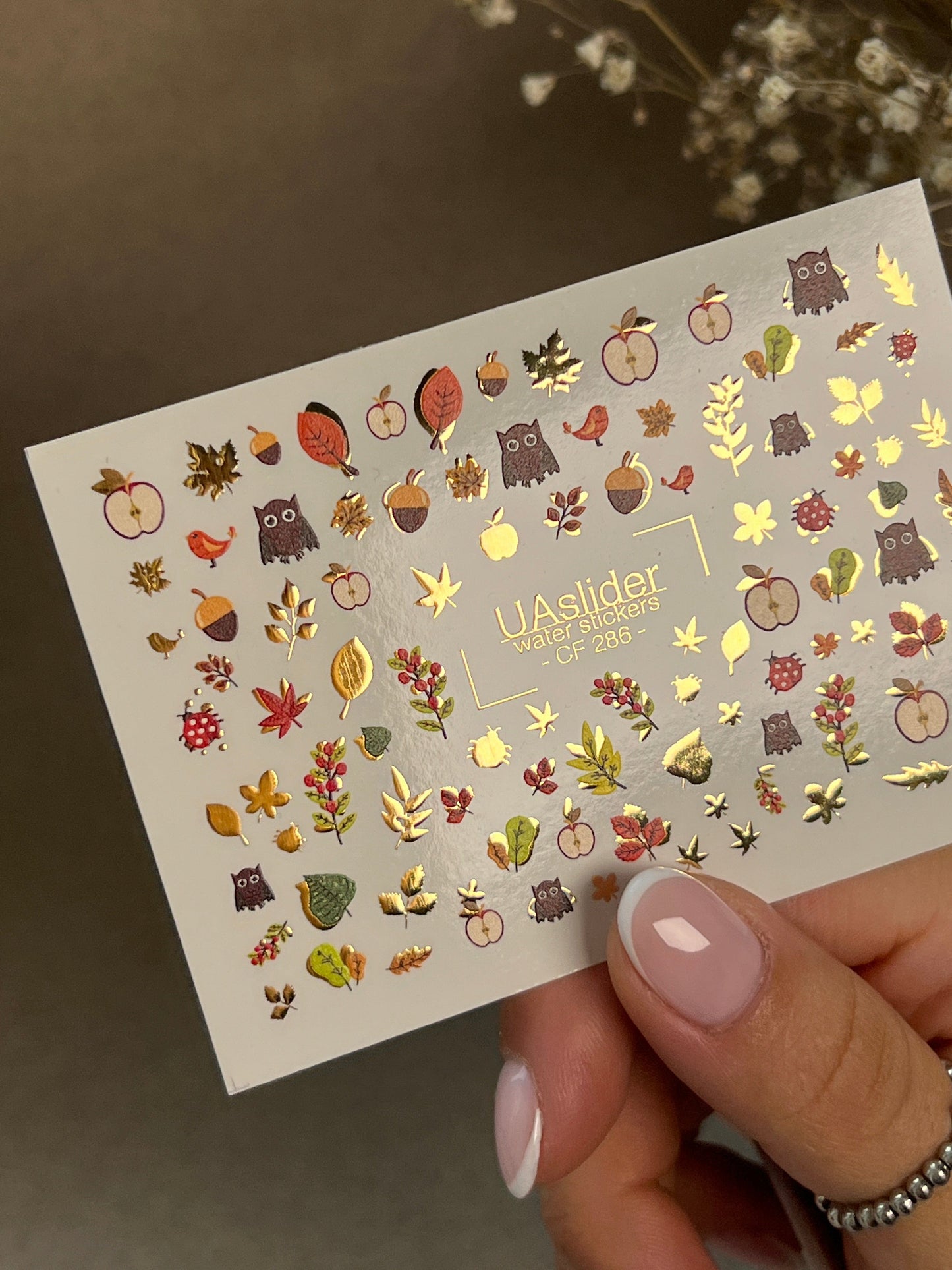 UA Slider 2D Nail Decal CF-286 Nail Water Decal Gold FOIL/ Autumn Owl / Fall Leaves/ Apples /Autumn Designs/Fall Nails