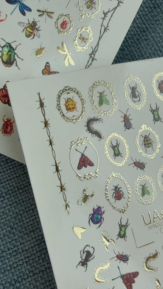 UA Slider 2D Nail Decal CF-788 Entomology Bug and Beetle Nail Stickers / Gold Frames/ Nail Art / Nail Water Decals (1pc)