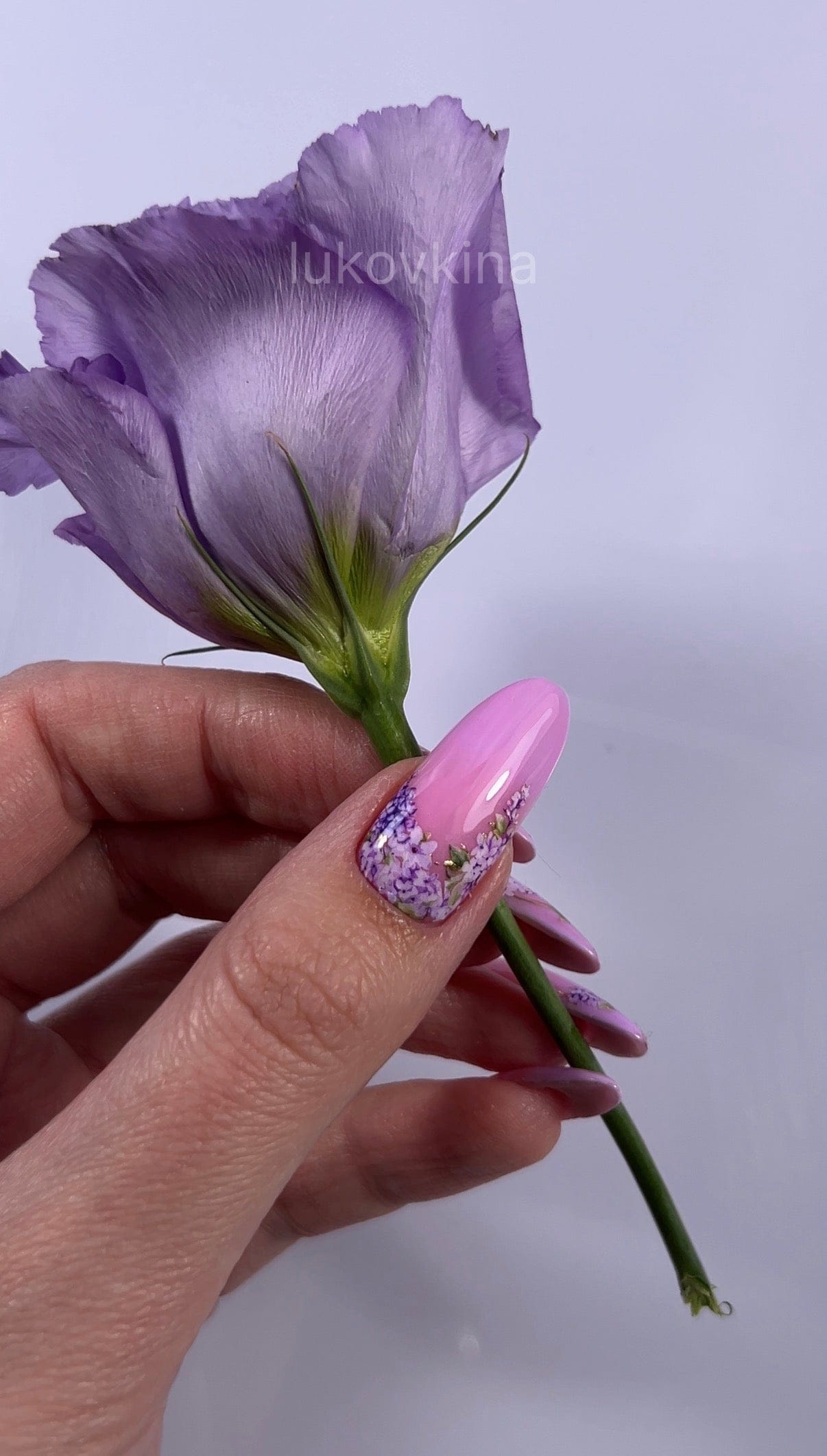 UA Slider 2D Nail Decal CF-487 Spring Gold Foil Nail Water Decal / Lilac Flower / Spring Nails / Purple Floral Moons / Botanical Clusters/French Tips