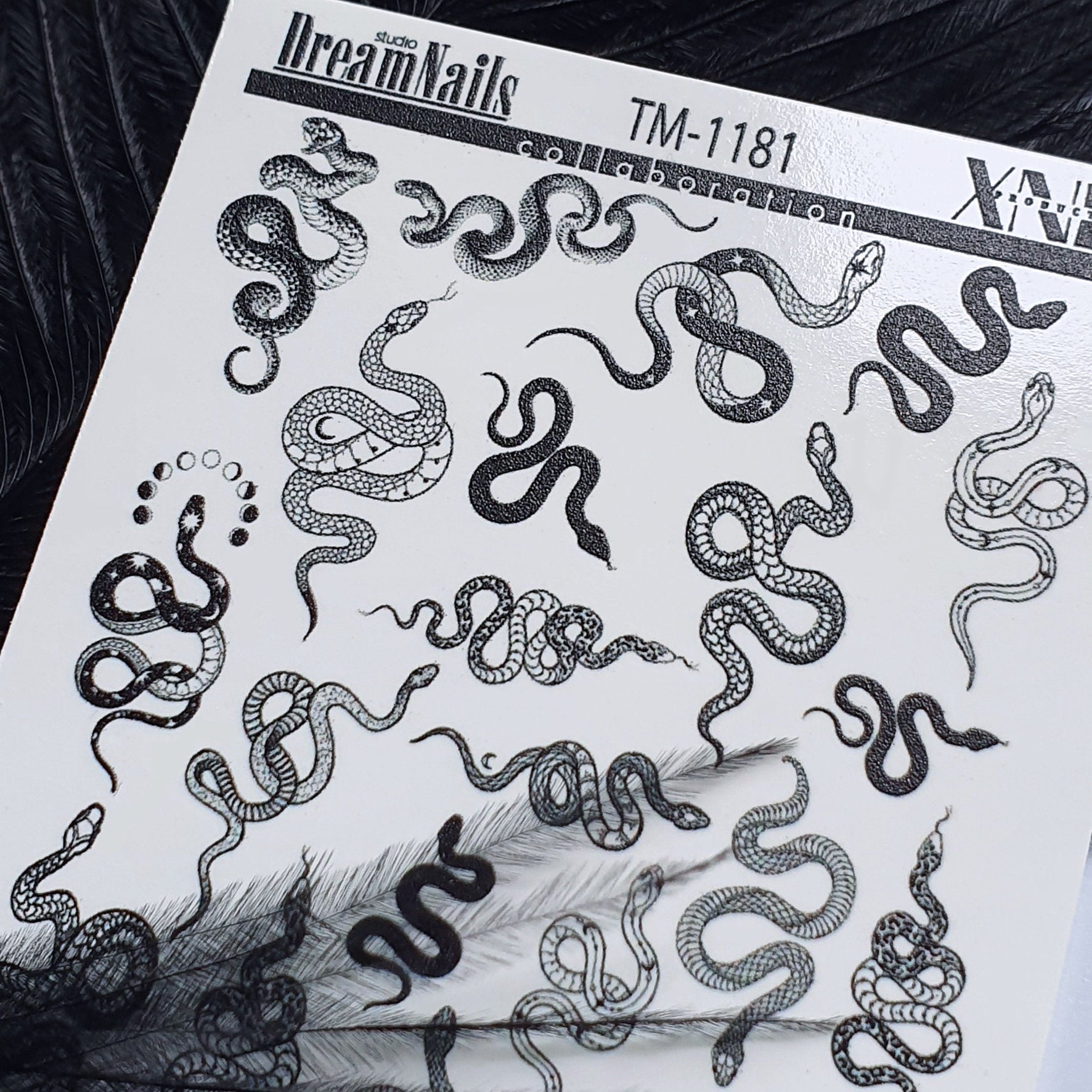 TM-1181 / Nail Decal 2D Black & White Elements, Snake - Xochi Nail Designs LLC