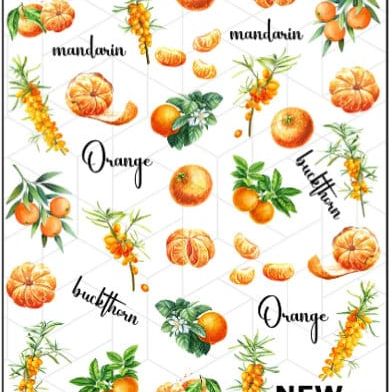 CW-176 / Nail Decal 2D/ Nail Decals/Fruits/ Mandarin/ Orange - Xochi Nail Designs LLC