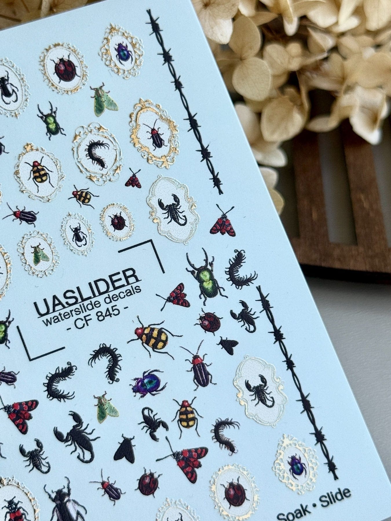 UASlider 2D Nail Decal CF-845 Gothic Entomology Nail Water Decals - Beetles, Scorpions, Moths & Cameo Frames